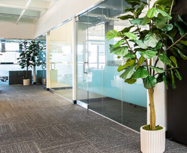 Растенията – сами в офиса