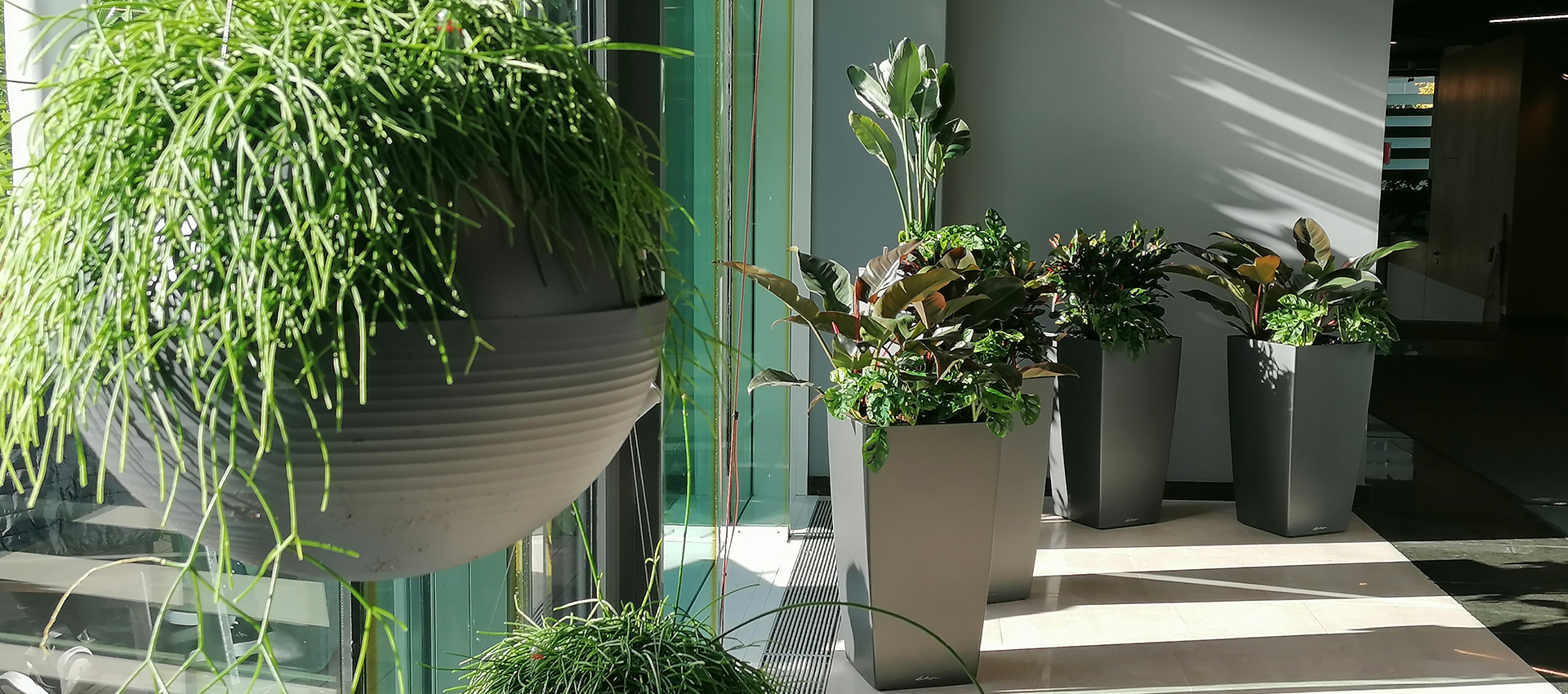 Expo 2000 Office Park