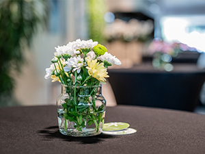 Rental Plants for Events Rental Plants for Events