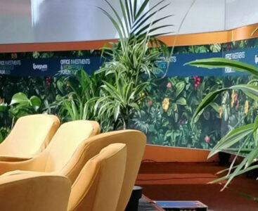 Rental Plants for Events