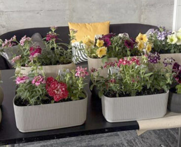 Работилница Grow Flowers in Groworking
