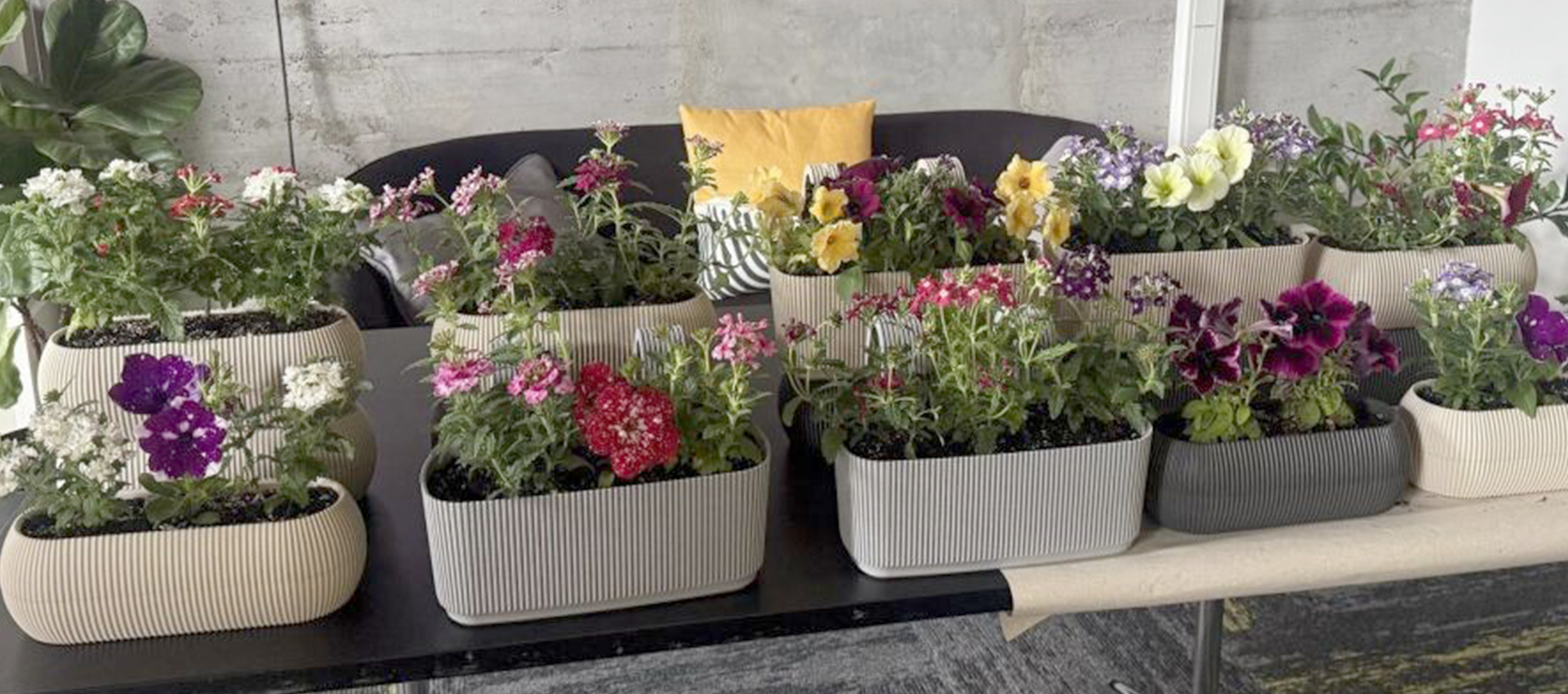 Работилница Grow Flowers in Groworking